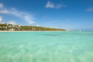 Alojamiento - Barceló Bávaro Palace