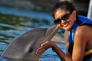 Actividad - Dolphin Encounter en Puerto Aventuras