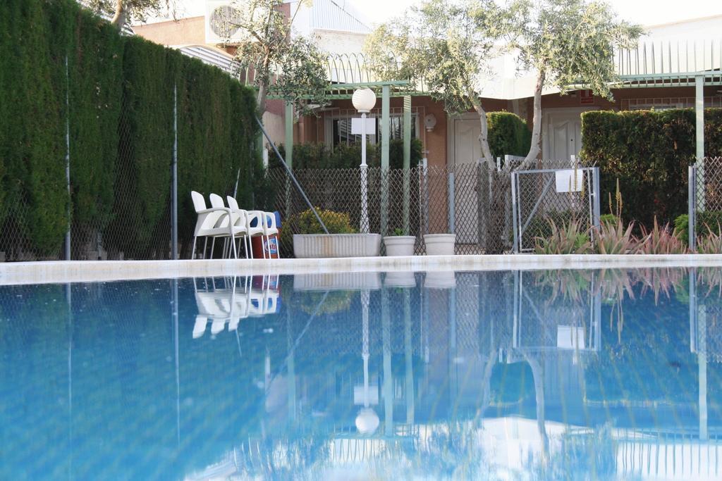 Vista Piscina Playa Canet
