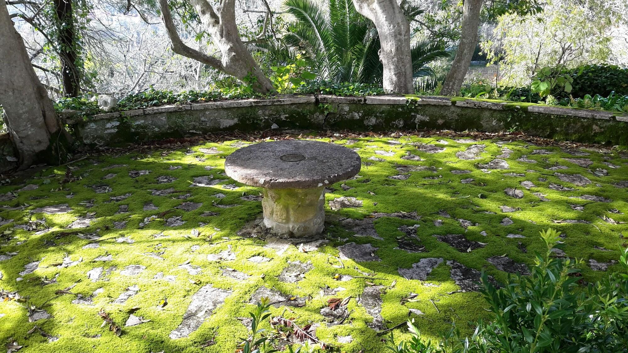 Vista Exterior Quinta de São Thiago