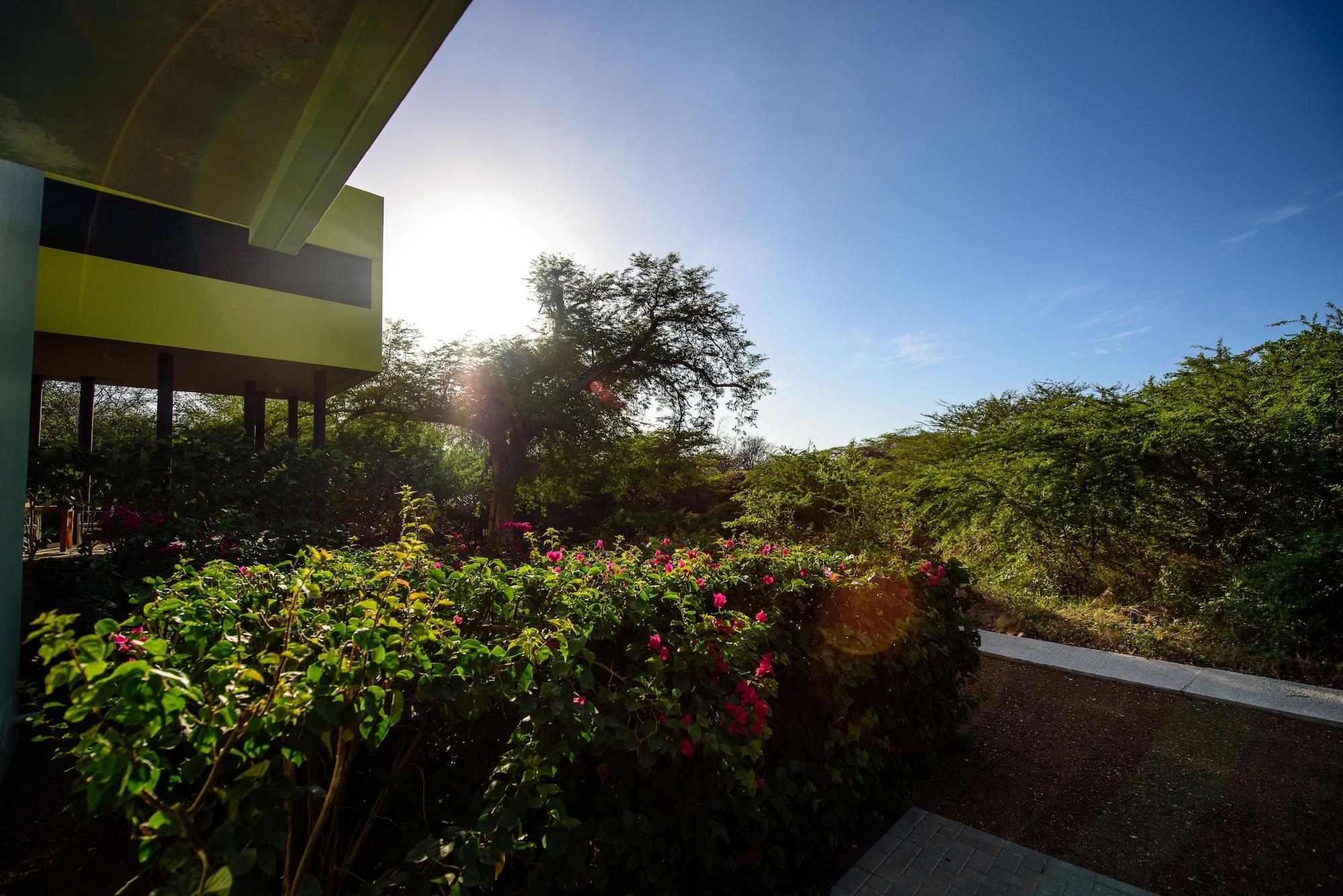 Vista Exterior Bohemi Villas