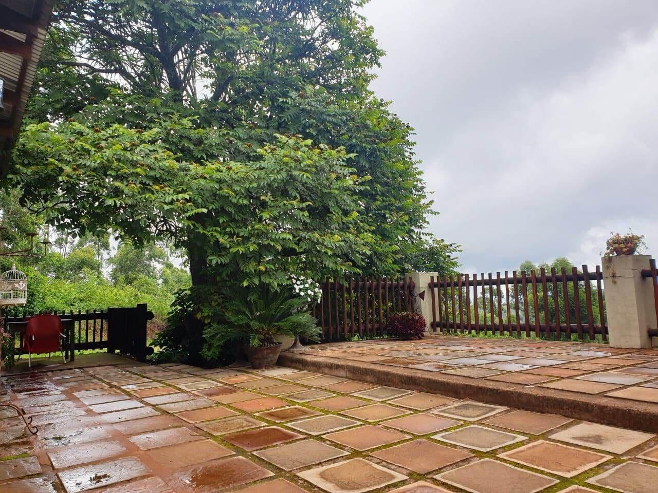 Equipamiento de Habitación Misty Mountains