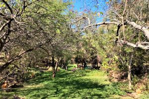 Alquiler Vacacional - Double Lodge in Natural African Bush - 2111