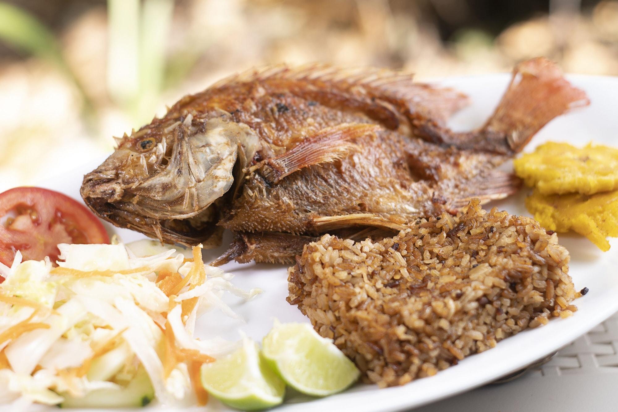 Restaurant Isla Tijereto