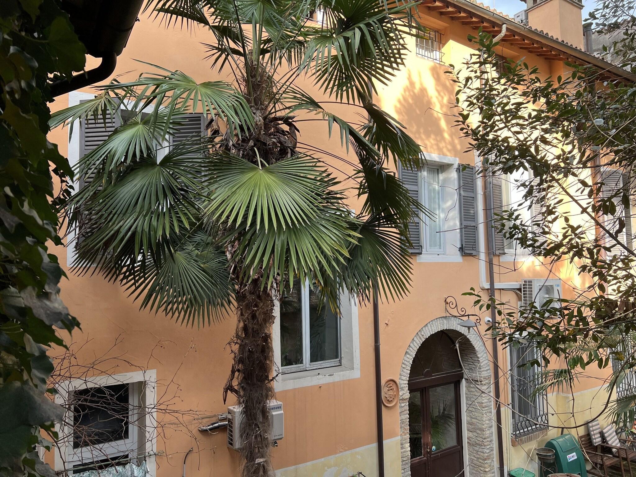 Varios a casa di paola