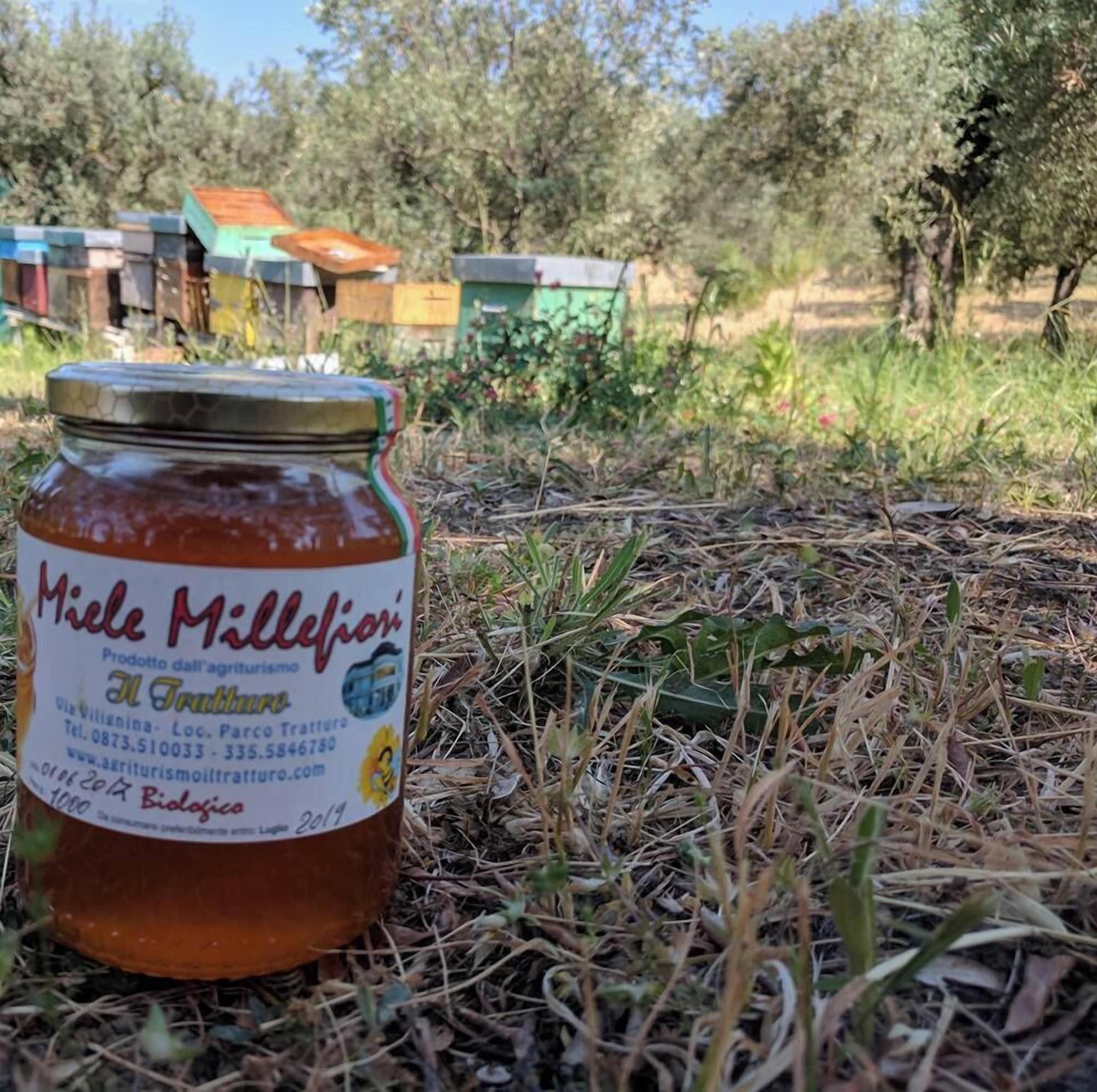 Vista Exterior Agriturismo il tratturo