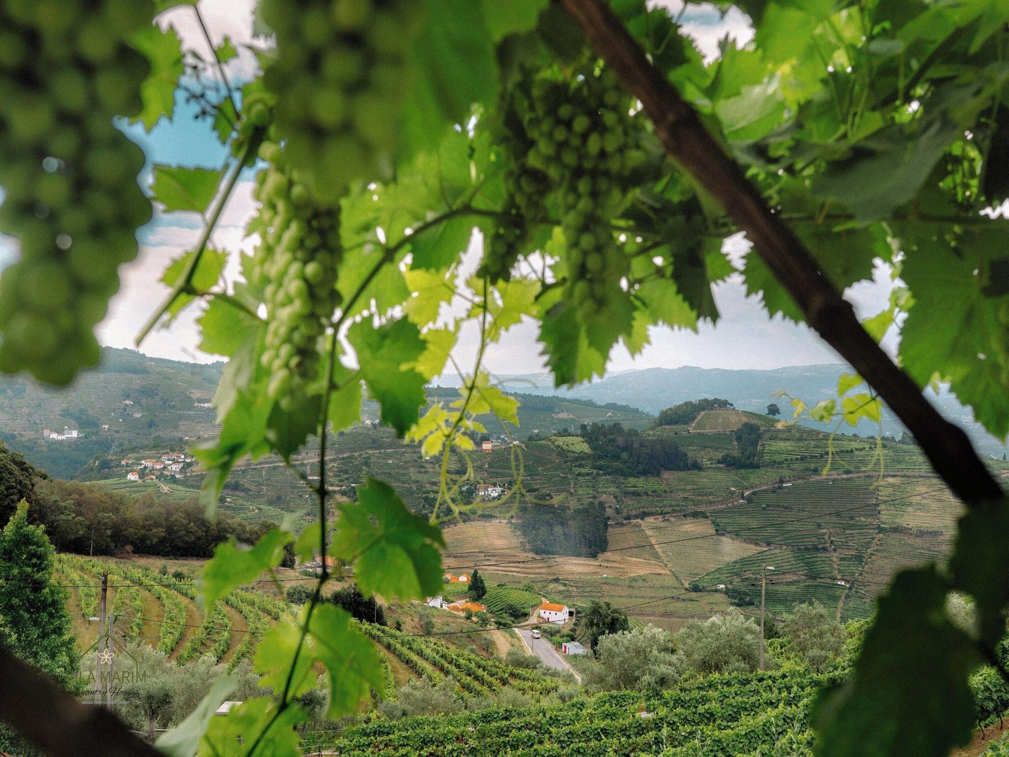 Vista Exterior Vila Marim Country House