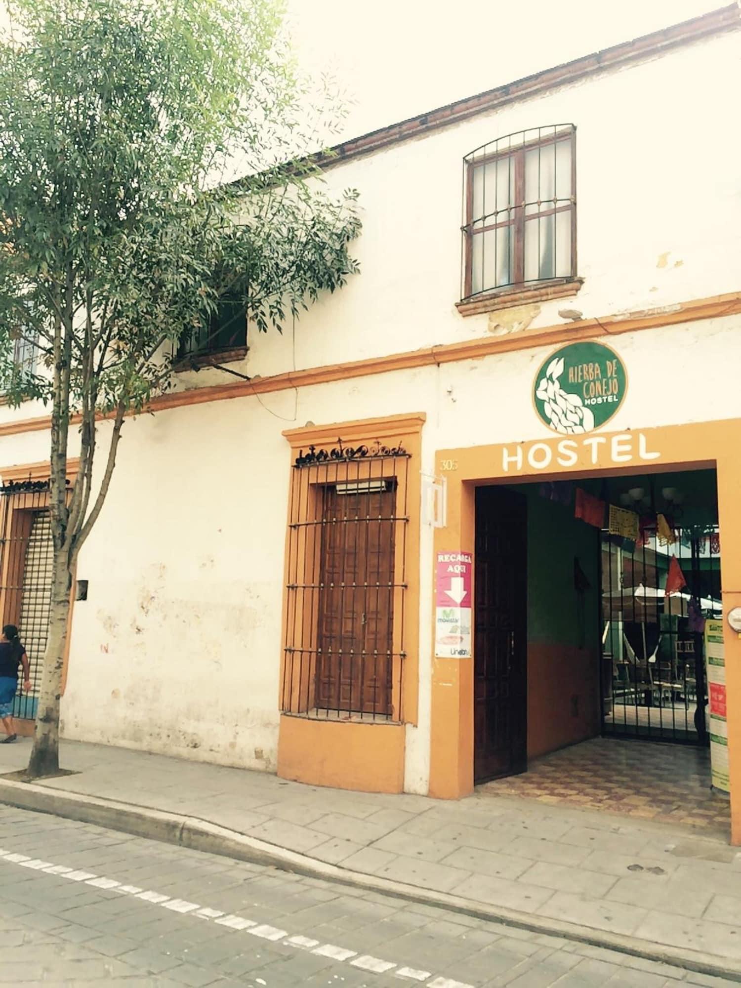 Vista Exterior Hierba de Conejo - Hostel