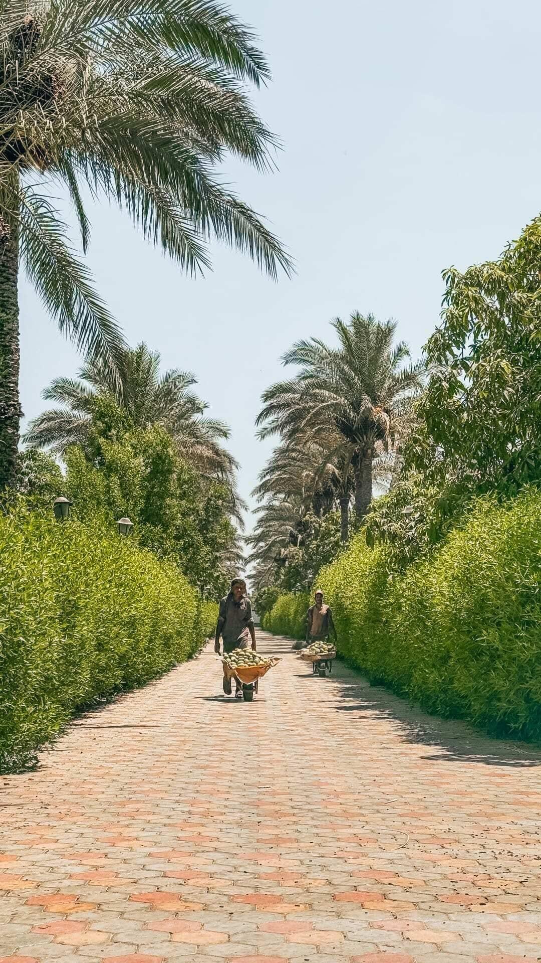 Varios Xuru Stays I Waterfall Zoo Lodge