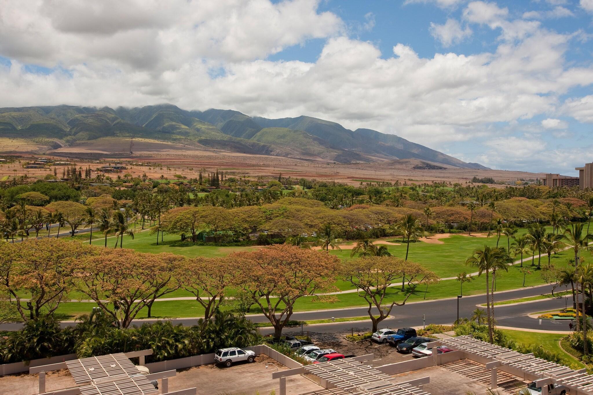 Vista Exterior Kaanapali Alii