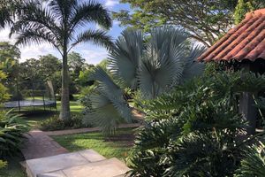 Alojamiento - Finca Hotel Brasilia