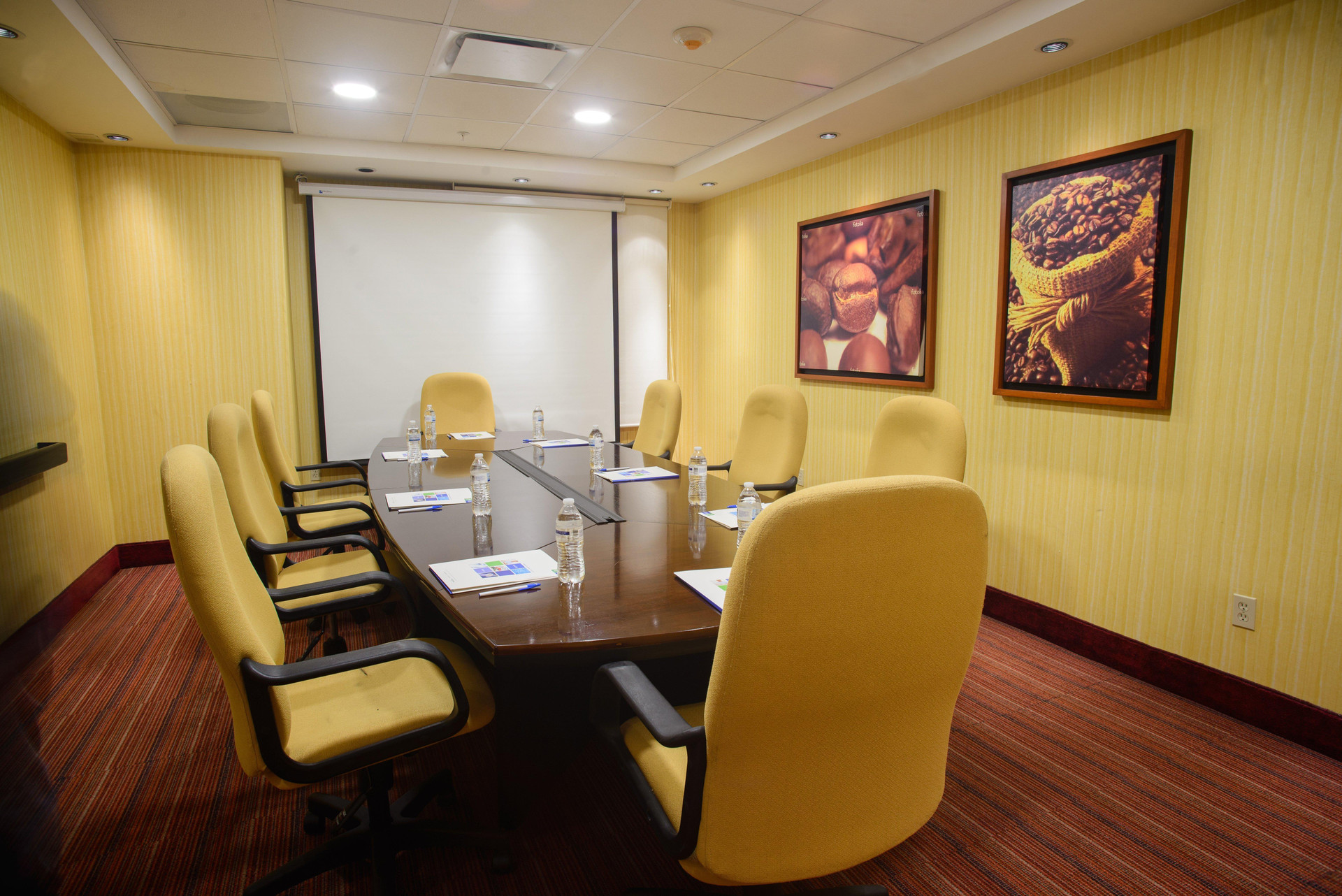 Centro de Negocios Holiday Inn Express Tapachula