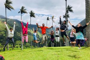 Actividad - Valle de Cocora y Salento