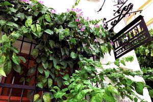 Alojamiento - Casa La Bella Samaria Hostel Boutique