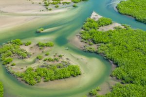 Actividad - Excursión al delta del Salum