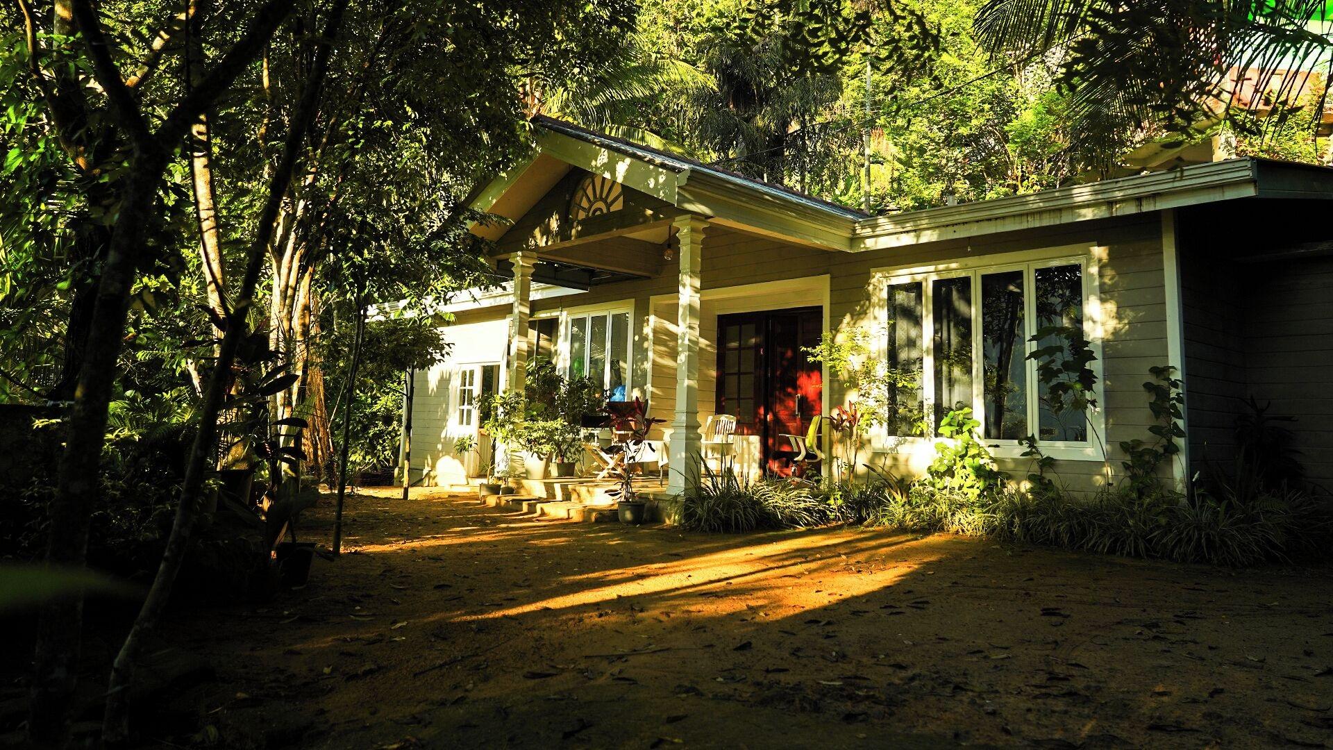 Equipamiento de Habitación Tree Nature Resort