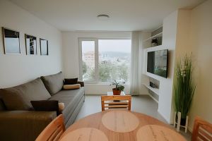 Renta temporal - City-Center Apartment with Beagle Channel Views