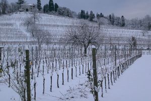 Alojamiento - Agriturismo Colutta