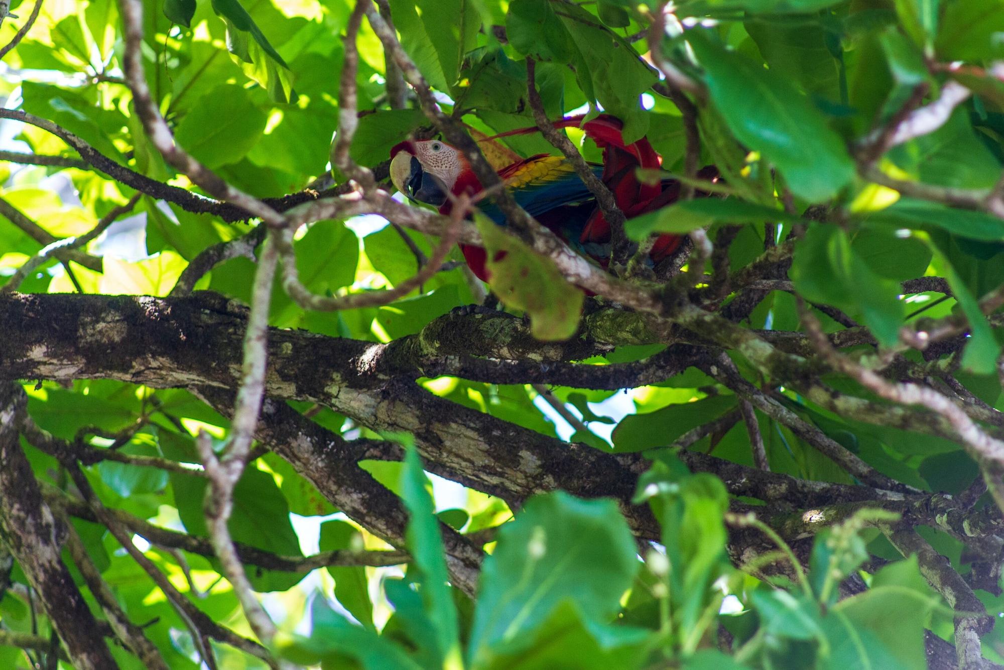 Instalaciones Recreativas Hotel Las Caletas Lodge