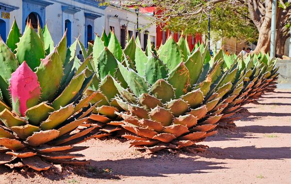 Hotel Casa Santo Tomás