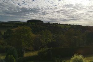 Alquiler Vacacional - Apartment in Winterberg / Grönebach