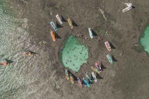 Actividad - Porto de Galinhas