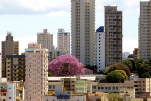 Passagem - Voos para Uberlândia