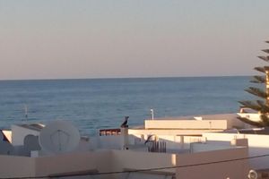 Alquiler Vacacional - Nice located, sea view apartment