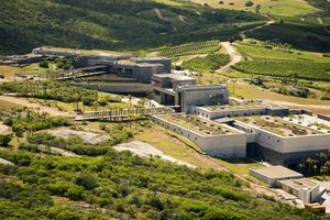 Actividad - Senderismo en Bodega Garzón