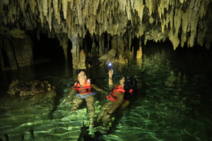 Actividad - Excursion a 4 Cenotes con transportacion