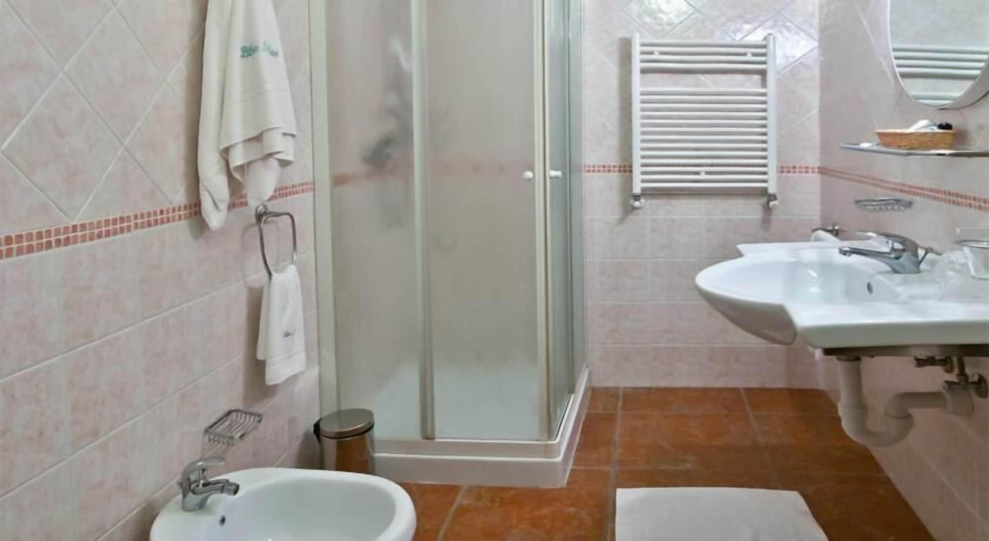 Equipamiento de Habitación Hotel Blue Ribbon