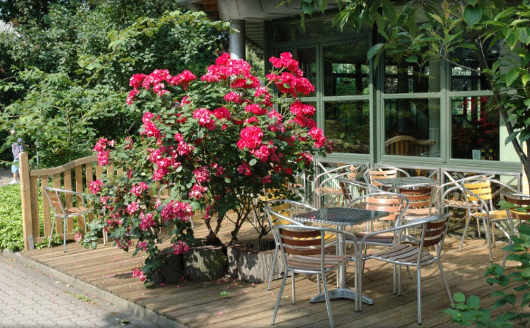 Varios Grandhotel Esplanade