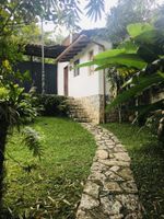 Alojamiento - Corazón de Niebla