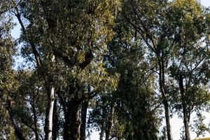 Actividad - Tour por los cerros de Tucumán