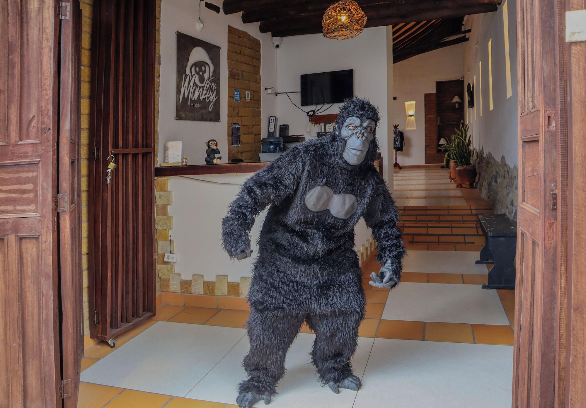 Vista Exterior Trip Monkey Origen