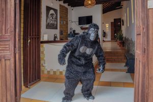 Alojamiento - Trip Monkey Origen