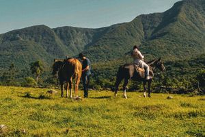 Passeio - Passeio a cavalo em Praia Grande