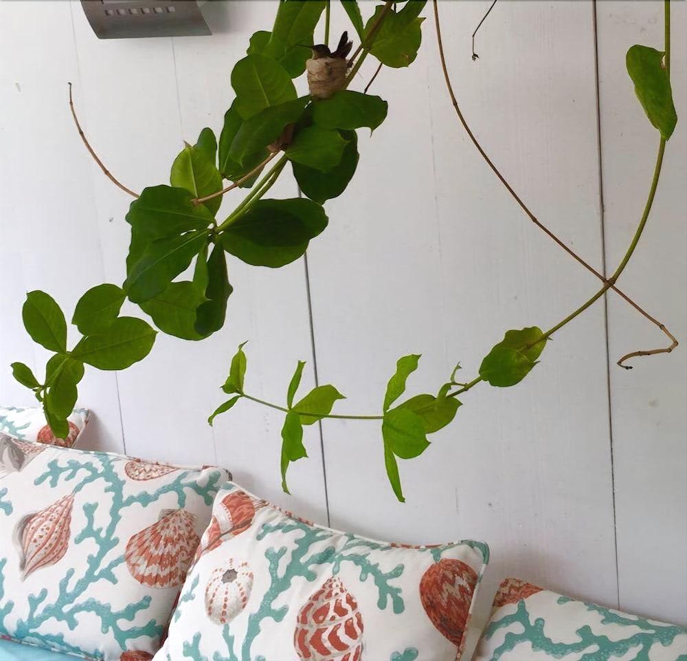 Habitación Fleur De Lune