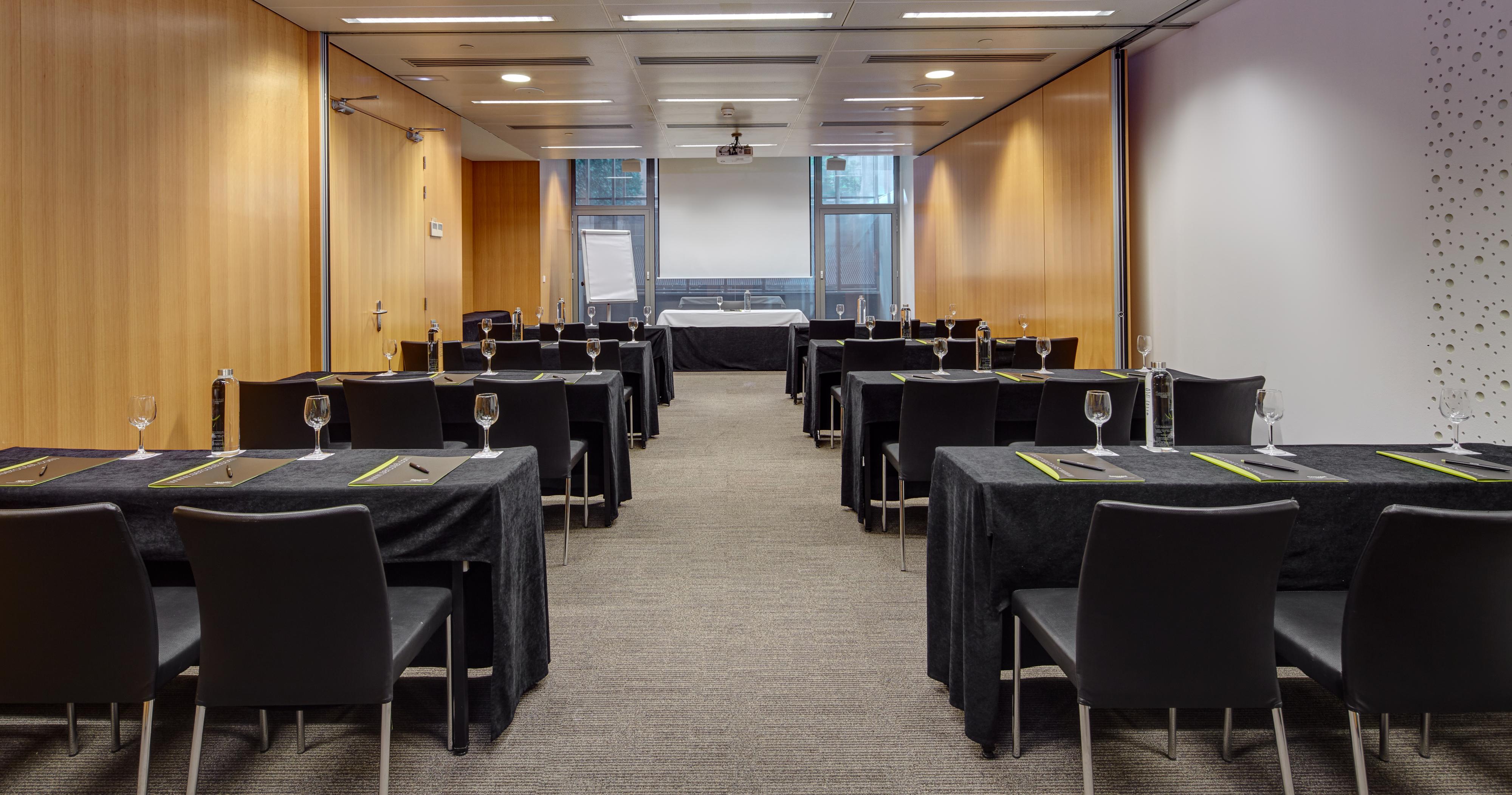 Sala de Reuniones Sercotel Rosellon