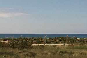 Alquiler Vacacional - BONNIE APARTMENT by the sea