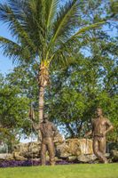 Alojamiento - GreenLinks Golf Villas at Lely Resort
