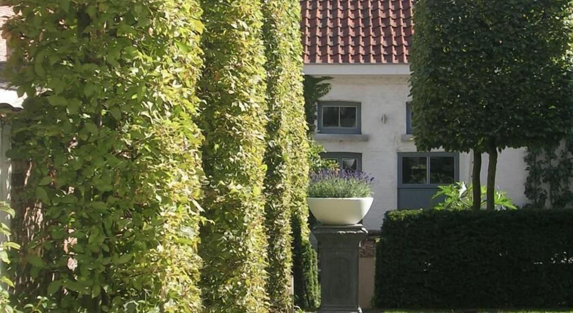 Varios Dusk Till Dawn