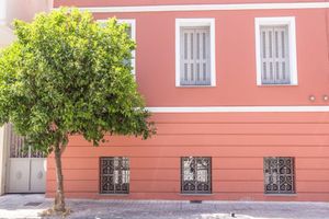 Alojamiento - Pink Mango Hostel