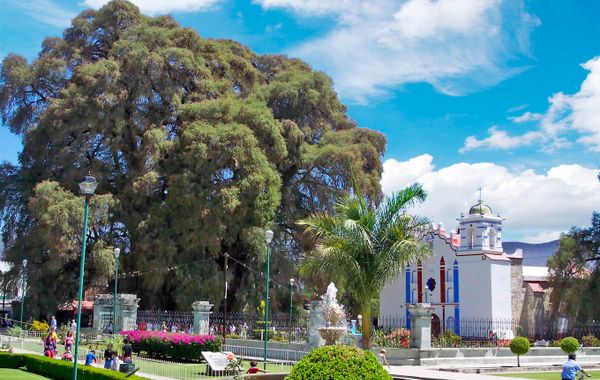 Hotel Casa Santo Tomás