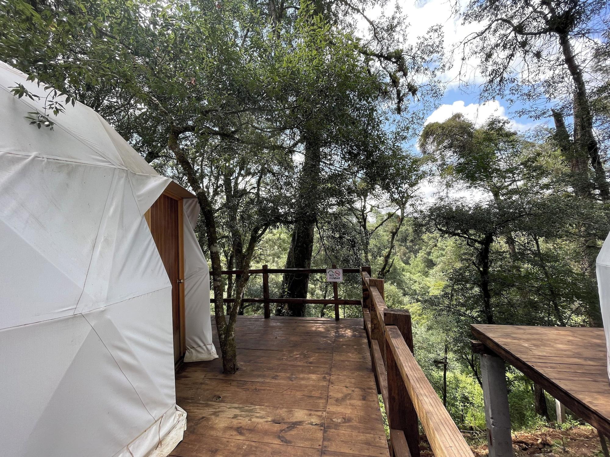 Varios MANDALA CAMP