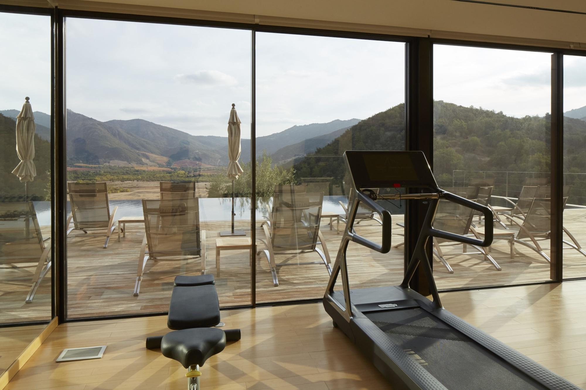 Gimnasio Vik Chile