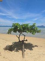 Alojamiento - Islandfront Cottages