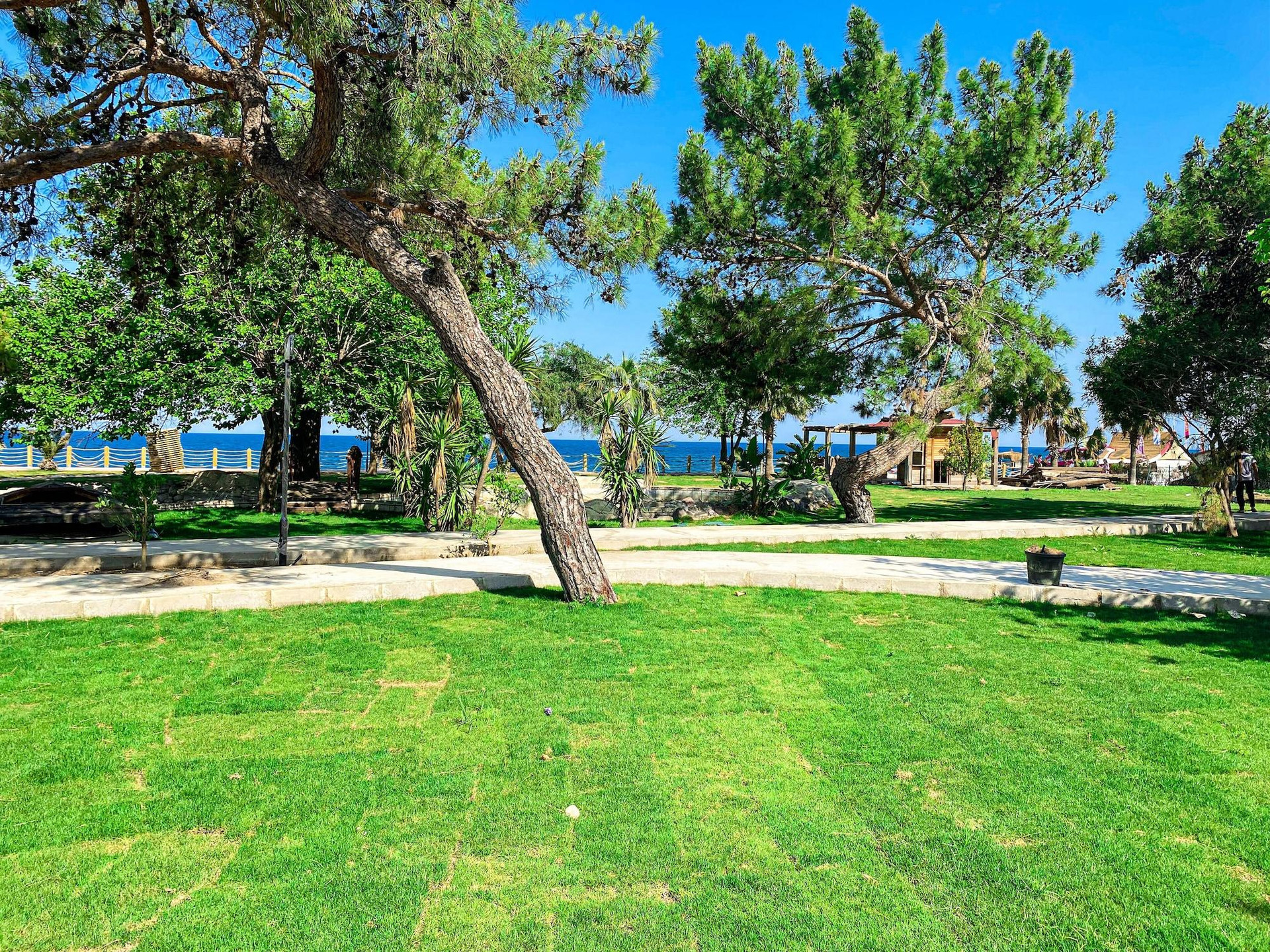 Vista Exterior Mert Hotel