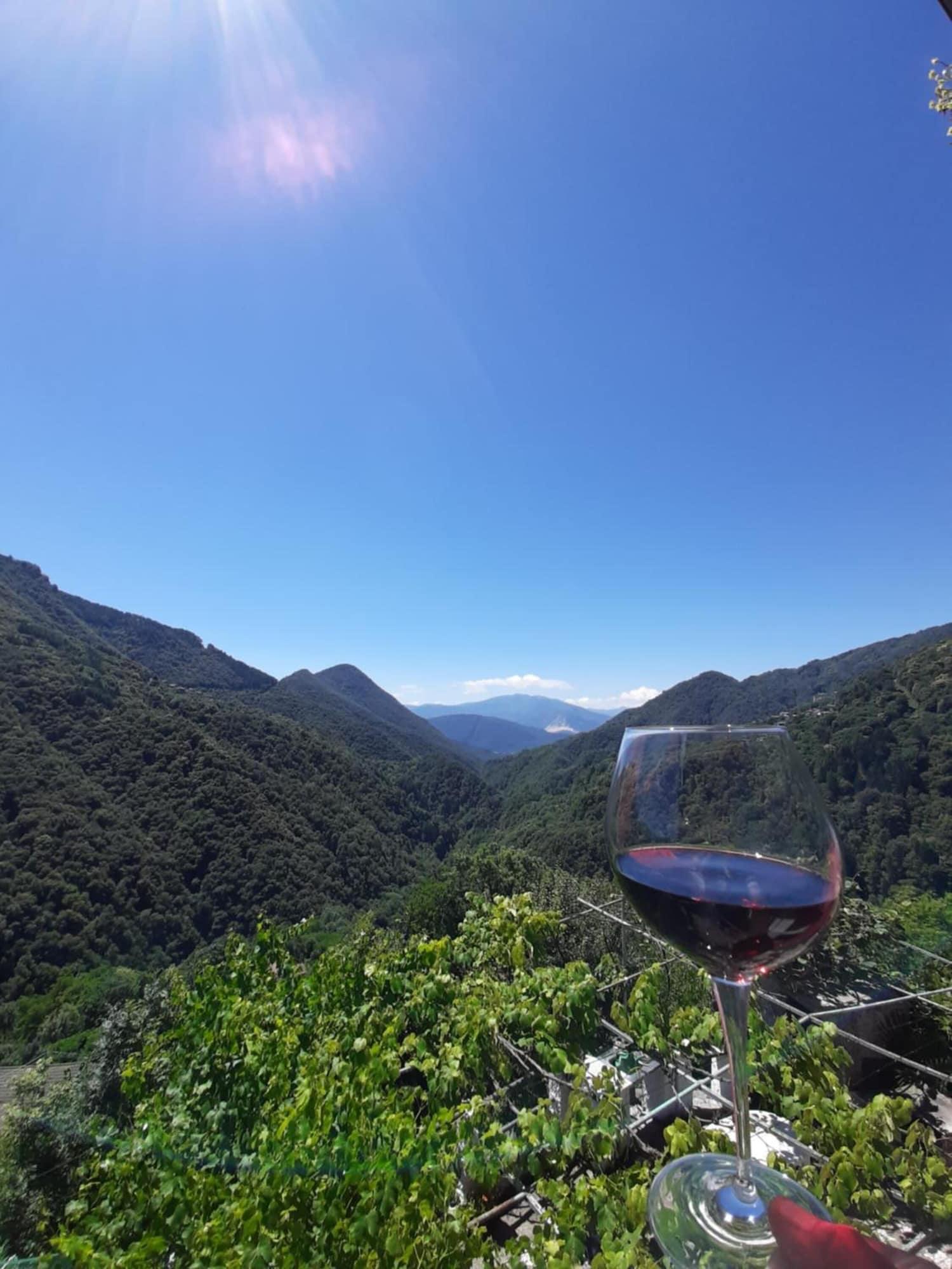 Comodidades del Alojamiento B&B La Locanda del Cinghiale