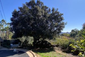 Alojamiento - Tranquil country setting w/majestic views